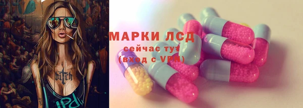 гидра Аркадак