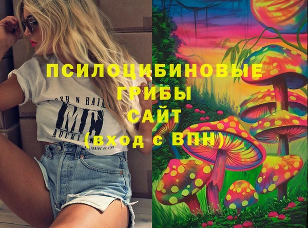 бошки Арсеньев