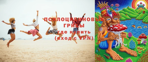 гидра Аркадак