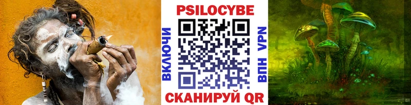 купить   Нижний Ломов  Галлюциногенные грибы мицелий 